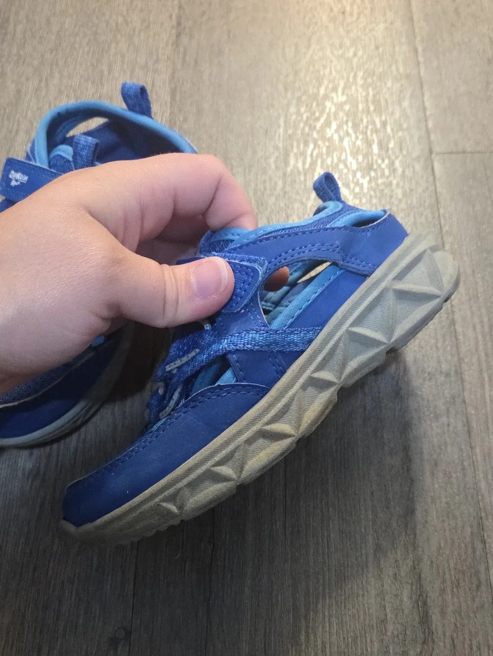 OshKosh B'gosh • Blue Water Sneakers